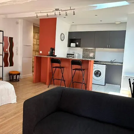 Grand Studio Saint Michel Daire *